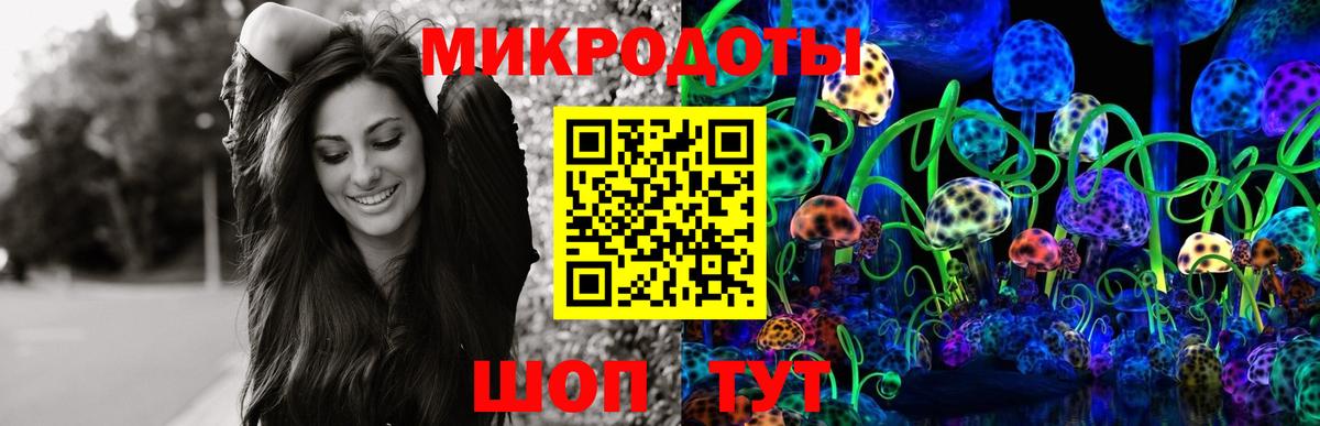 Псилоцибиновые грибы мицелий Лысьва