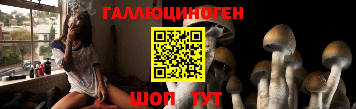 Лысьва  Галлюциногенные грибы Psilocybine cubensis  Галлюциногенные грибы Psilocybe  Вход с VPN 